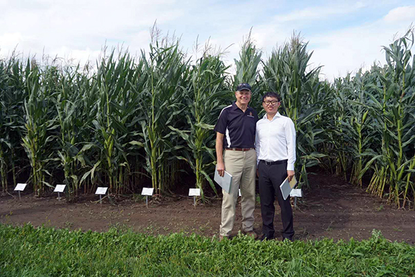 1536975009233447.jpg 6-1P91211150EW.jpg