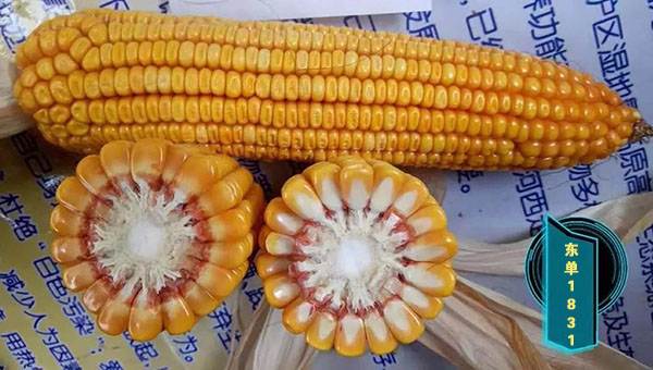 1553584824.jpg 微信图片_20190326151256.jpg