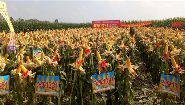 1566288314.jpg 微信图片_20190820155232_副本.jpg