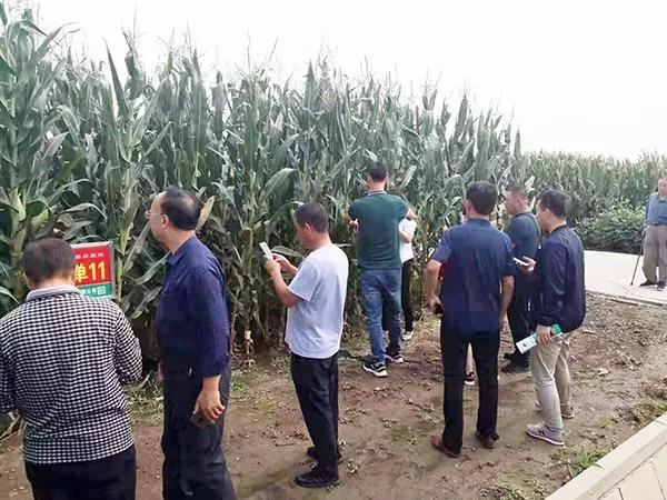 1567124642.jpg 微信图片_20190830081609.jpg