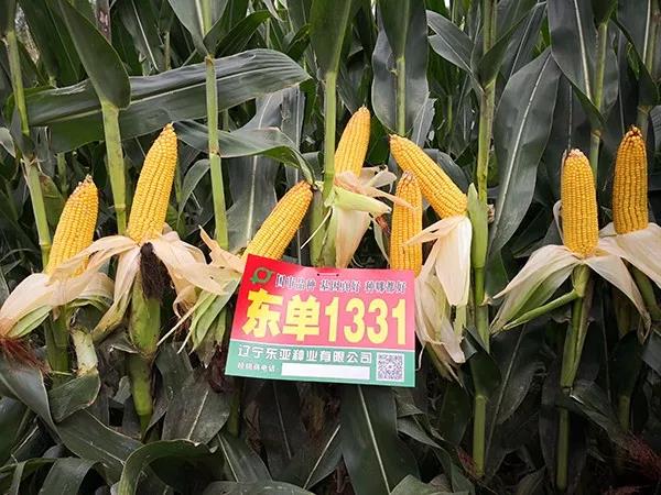 1567577870.jpg 微信图片_20190904141629.jpg