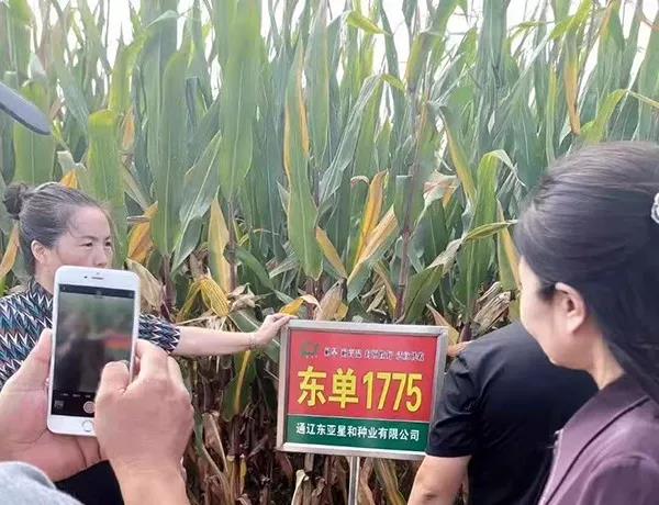 1567578932.jpg 微信图片_20190904141915.jpg