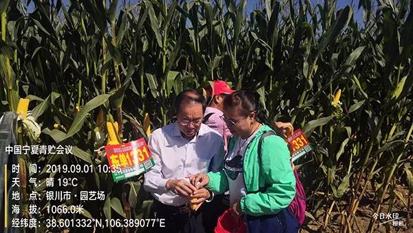 1567579335.jpg 微信图片_20190904130637.jpg