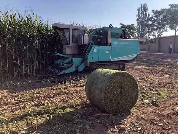 1567579348.jpg 微信图片_20190904130645.jpg