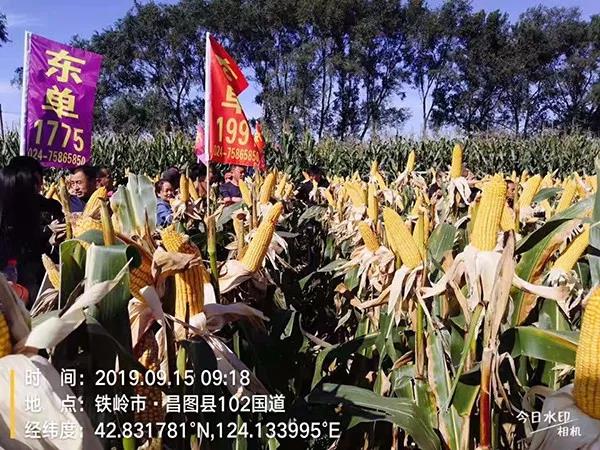 1569034658.jpg 微信图片_20190921104928.jpg