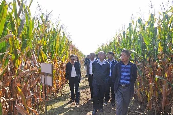 1569034946.jpg 微信图片_20190921110127.jpg