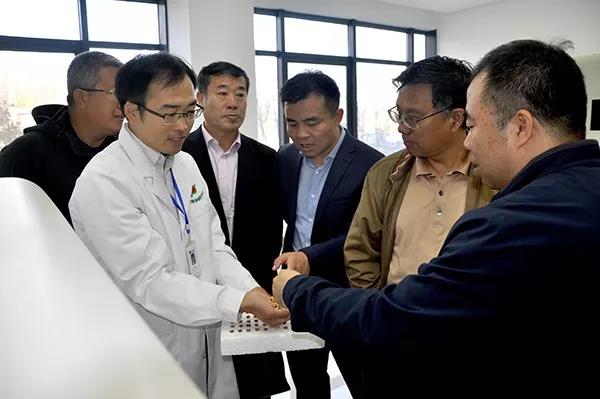 1572489977.jpg 12.jpg