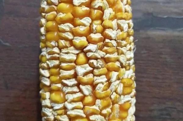 1578555915.jpg 微信图片_20200109154310.jpg