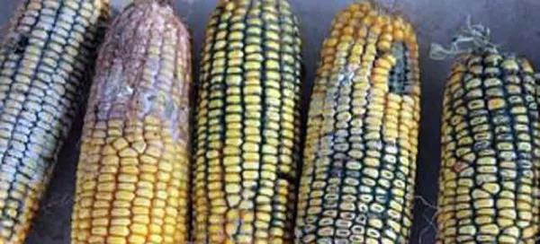 1578555923.jpg 微信图片_20200109154313.jpg