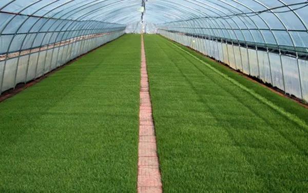 1583221619.jpg 微信图片_20200303154539.jpg