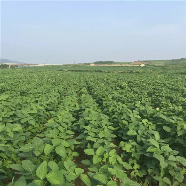 1583221684.jpg 微信图片_20200303154631.jpg