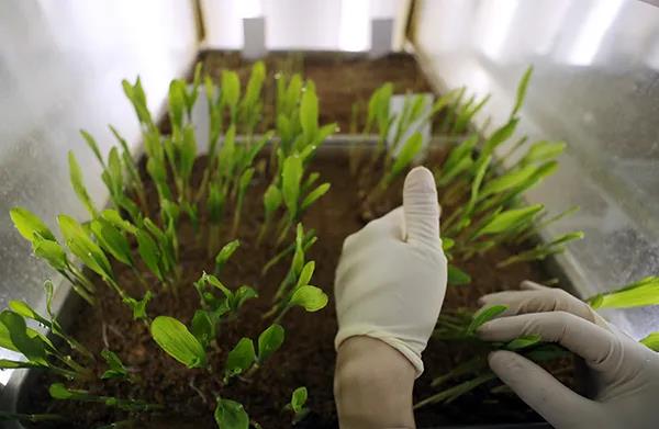 1585454789.jpg 微信图片_20200329120546.jpg