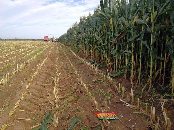 1585456128.jpg 微信图片_20200329122138.jpg