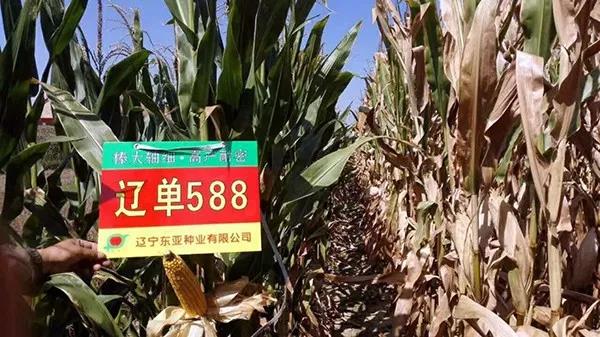 1585456153.jpg 微信图片_20200329122206.jpg