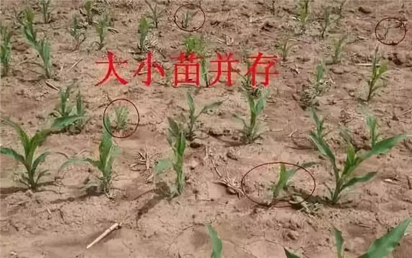 1592890691.jpg 微信图片_20200623133647.jpg