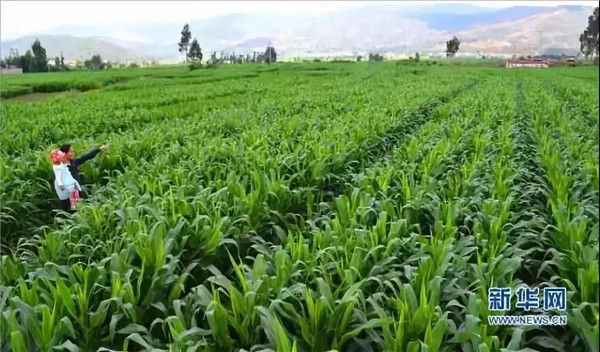 1592890696.jpg 微信图片_20200623133650.jpg