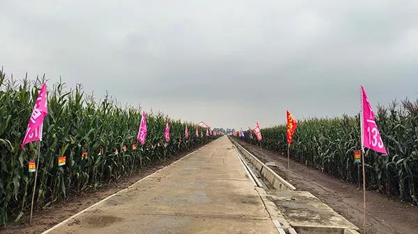 1600310895.jpg 微信图片_20200917104734.jpg