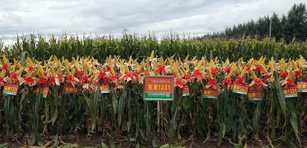 1600310901.jpg 微信图片_20200917104742.jpg