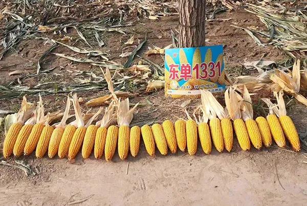 1601184316.jpg 微信图片_20200927132401.jpg