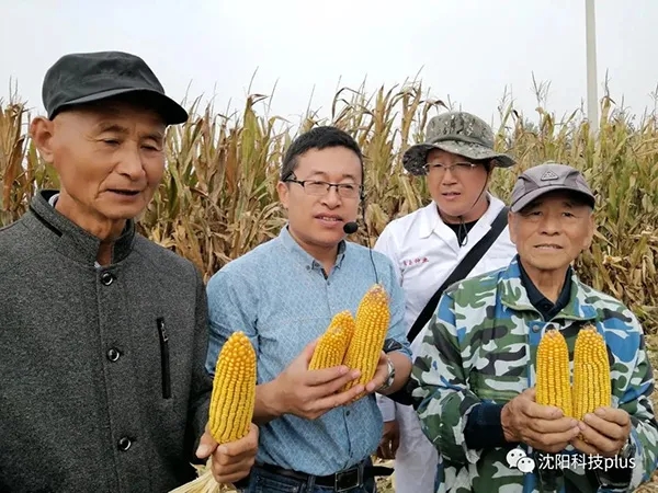 1602552156.jpg 640.webp (4).jpg