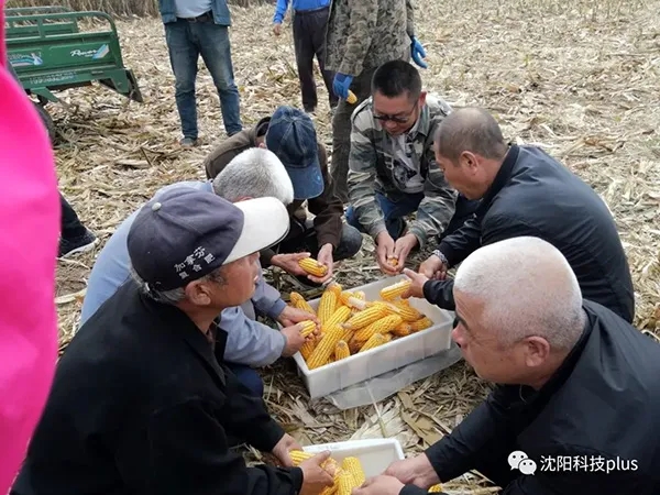 1602552163.jpg 640.webp (5).jpg