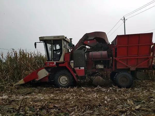 1603870722.jpg 微信图片_20201028153813.jpg