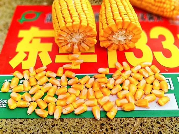 1605495509.jpg 微信图片_20201116105404.jpg