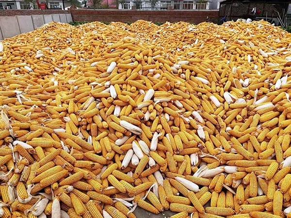 1605495843.jpg 微信图片_20201116110304.jpg