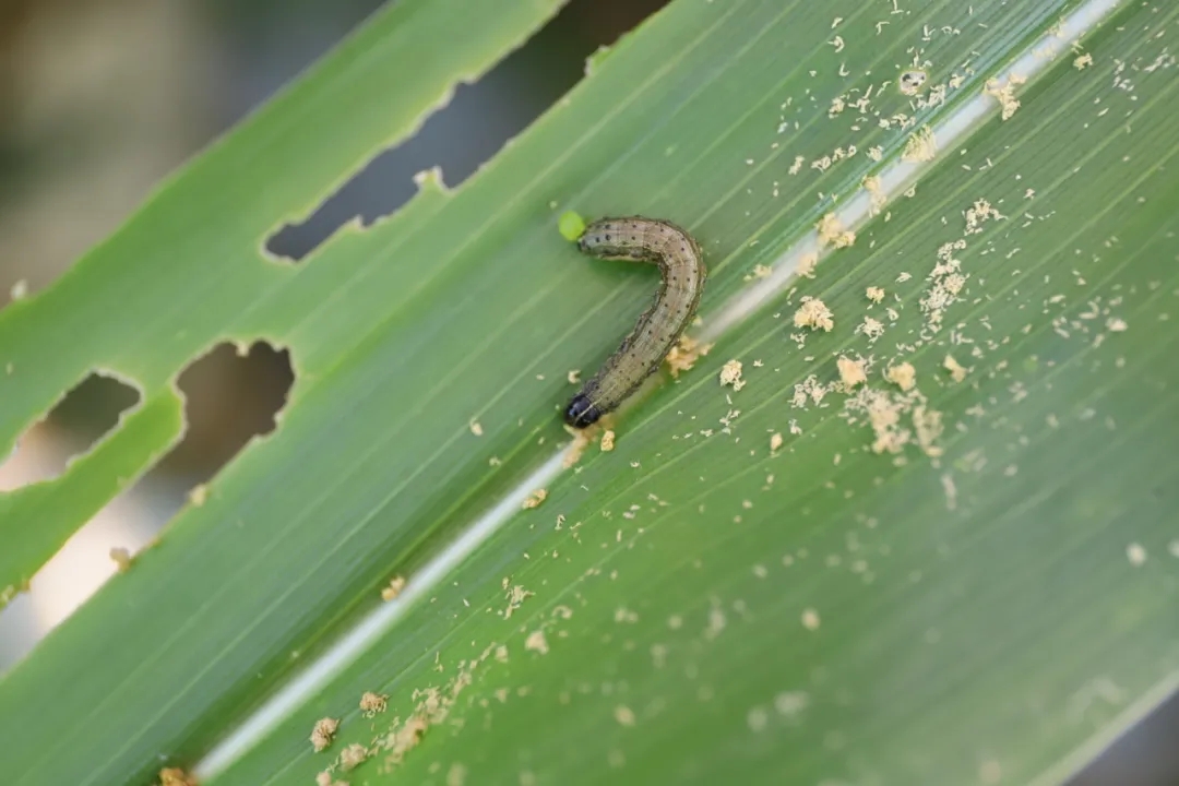 1614233432.jpg 640.webp (1).jpg