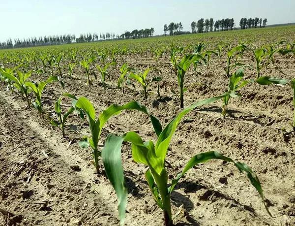 1620619435.jpg 微信图片_20210510120302.jpg