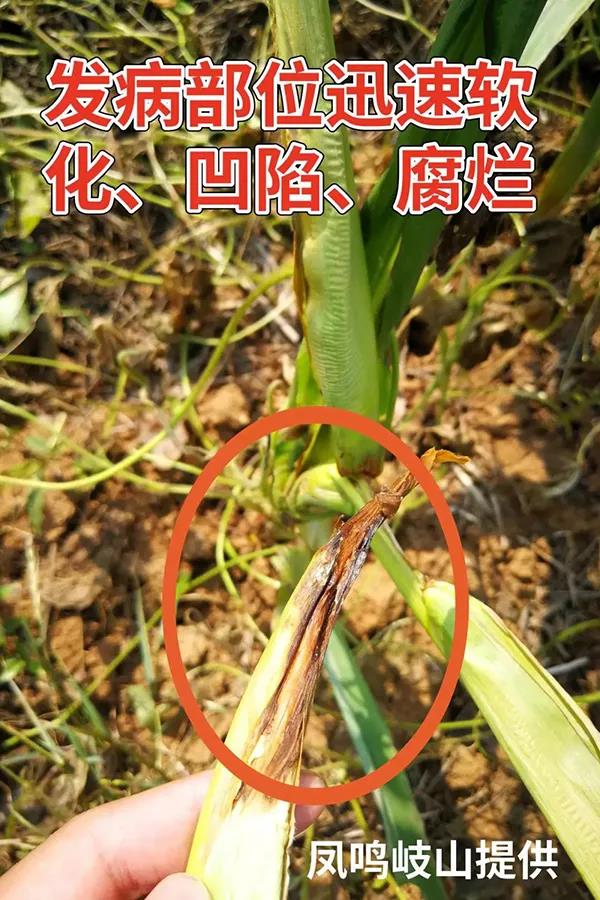 1628578209.jpg 微信图片_20210810144912.jpg