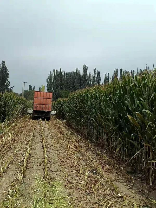 1632450788.jpg 微信图片_20210924103221.jpg