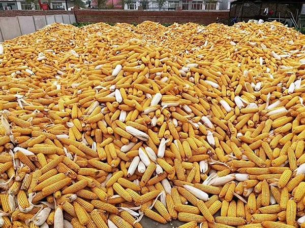 1632450794.jpg 微信图片_20210924103225.jpg