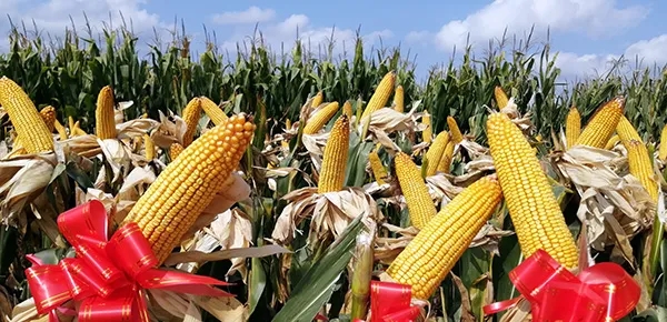 1632984612.jpg 640.webp (1).jpg