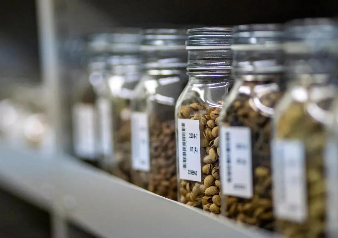 1640910747.jpg 1640910747.jpg