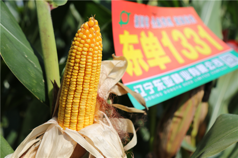 1640911909.jpg 1640911909.jpg