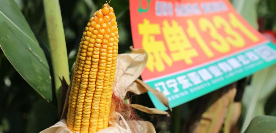 1653898087.jpg 1653898087.jpg