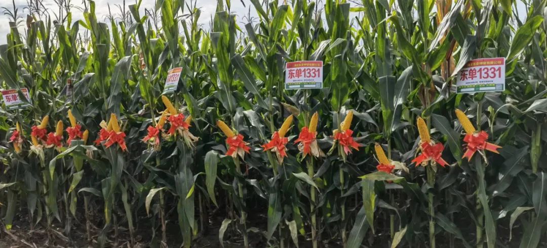 1662703584.jpg 1662703584.jpg