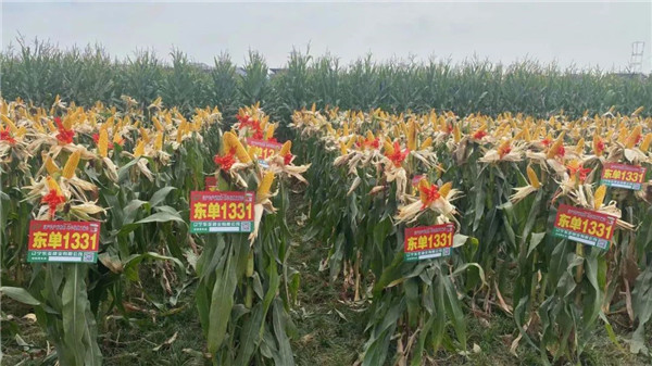 1663899137.jpg 640 (1).jpg