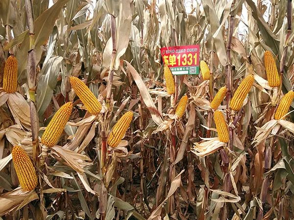 1670487380.jpg 640 (7).jpg