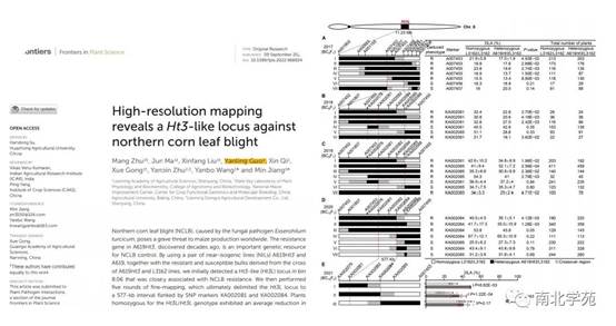 1678351369.jpg image006.jpg