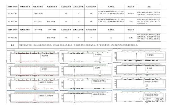 1678351420.jpg image014.jpg