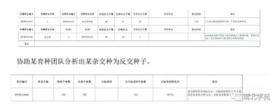 1678351427.jpg image016.jpg