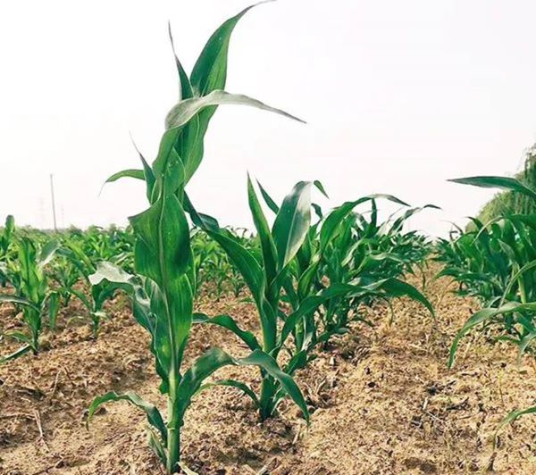 1679452860.jpg image004.jpg