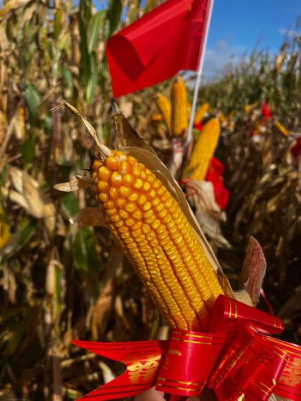 1680503133.jpg 3.jpg