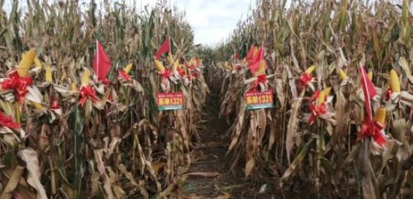 1680503181.jpg 4.jpg