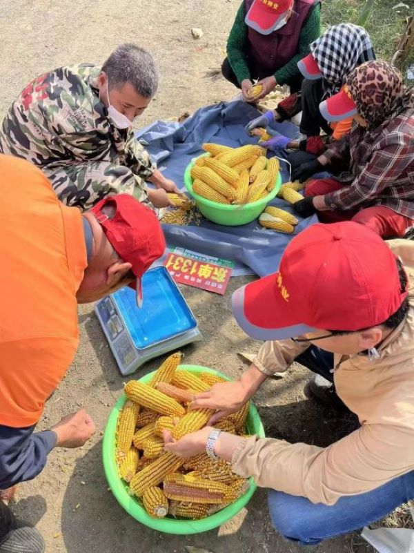 1680503201.jpg 7.jpg