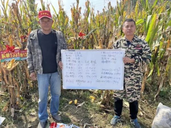 1680503208.jpg 8.jpg