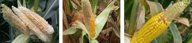 1562314040.png 微信截图_20190705160705.png