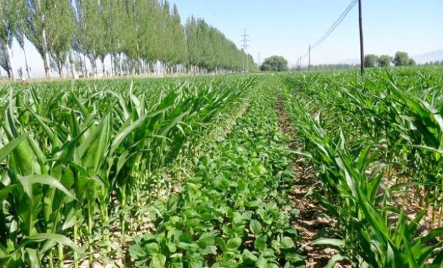 1660551696.png 1660551696.png